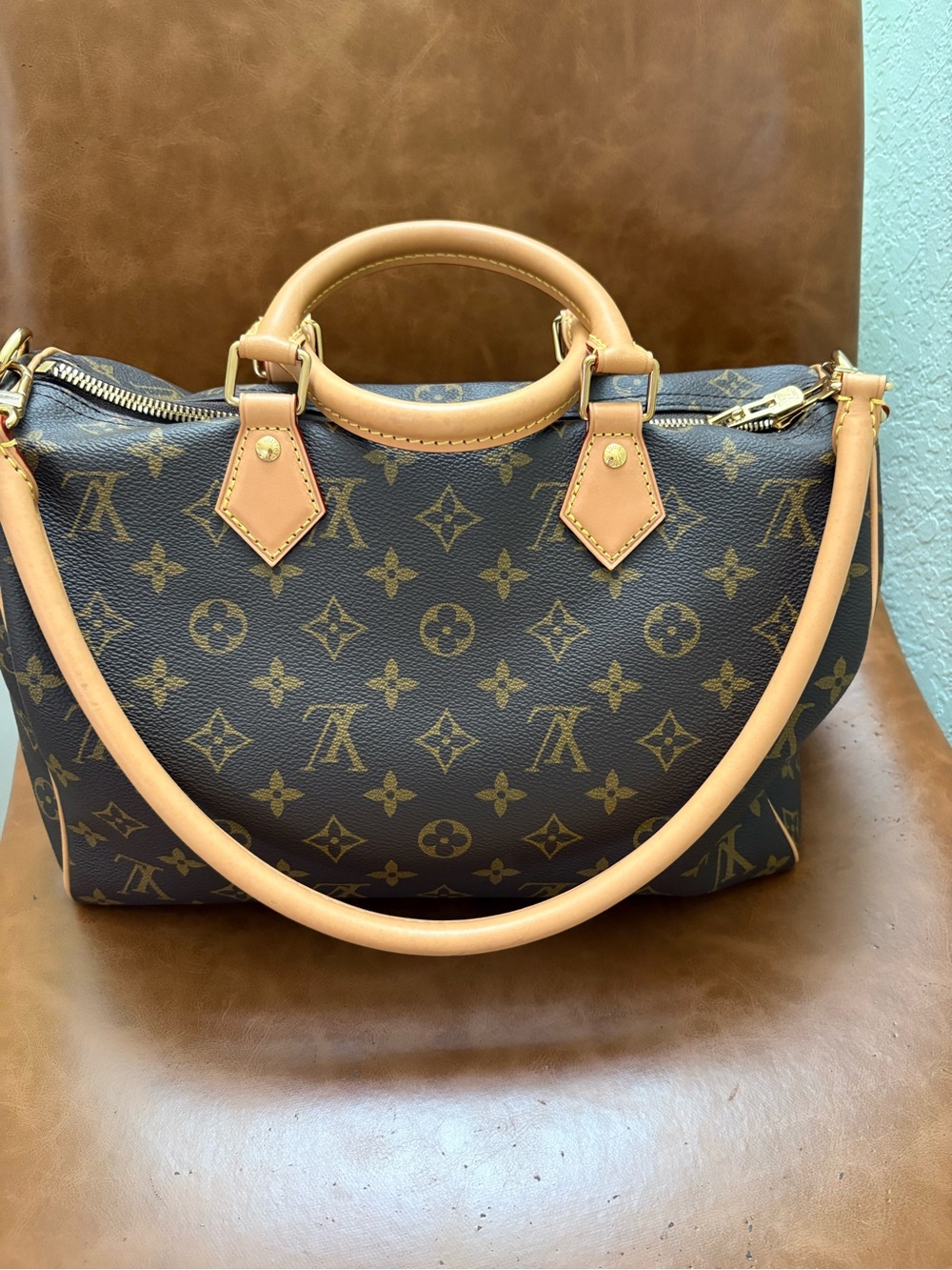 Louis Vuitton Monogram Speedy Soft 30 Crafty
